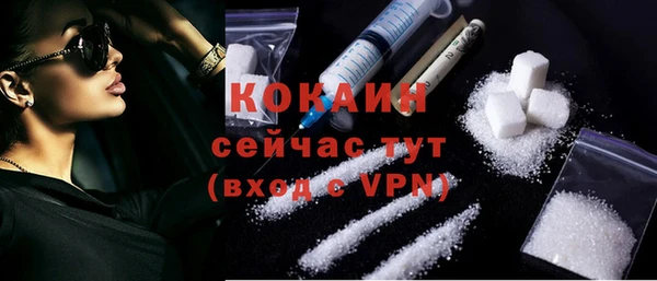 ешки Богданович