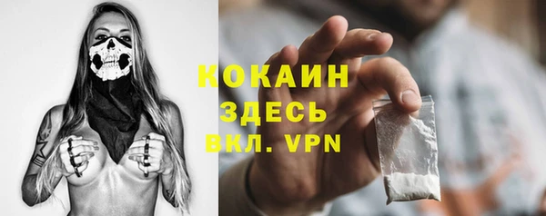 ешки Богданович