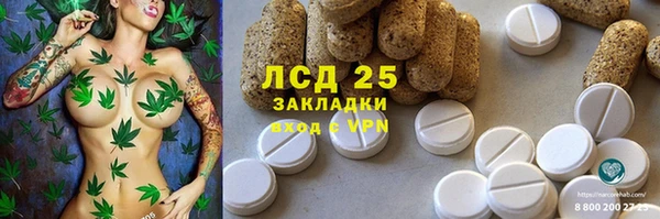 PSILOCYBIN Богородск